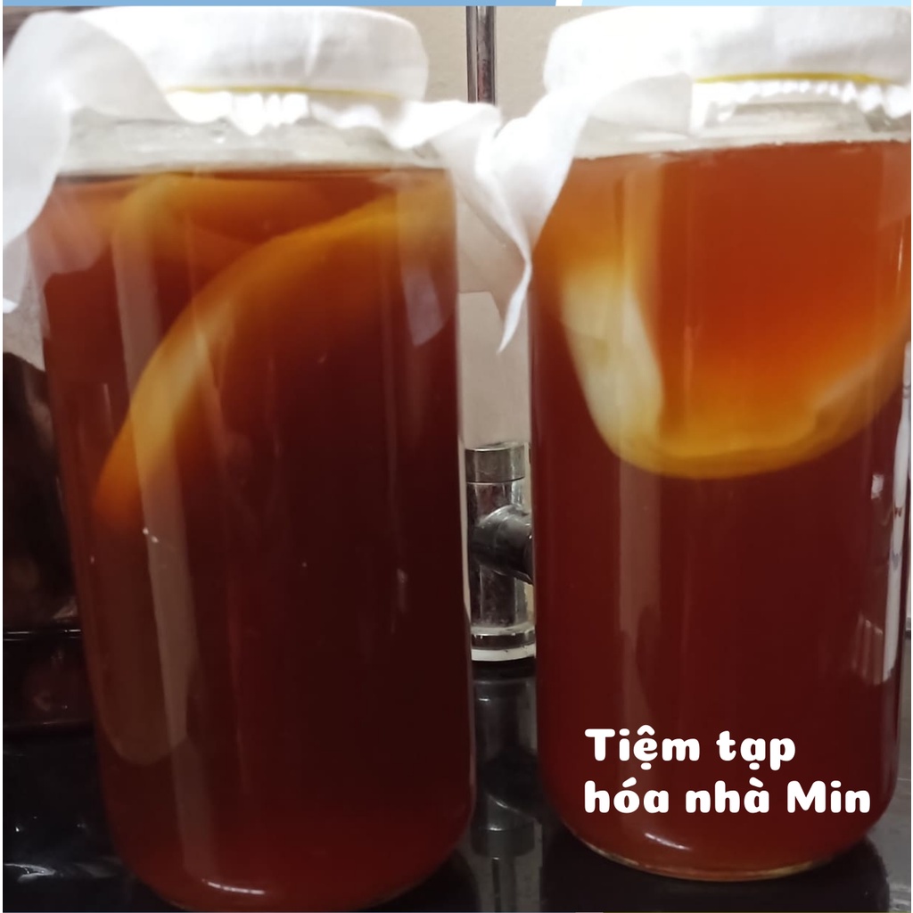 [FREE SHIP 50K] Combo 6 món đầy đủ nuôi nấm Scoby làm trà Kombucha dành cho người mới bắt đầu.