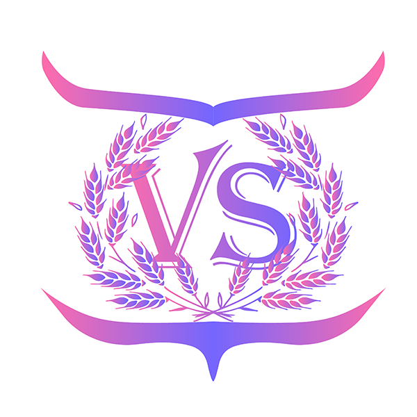 vissionshop.vn