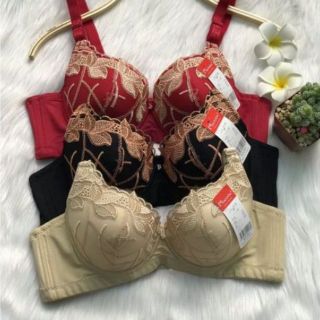 (3231) áo lót bigsize hàng nhật nội địa