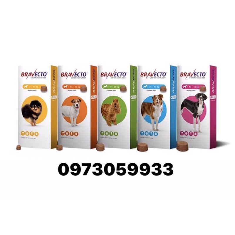 BRAVECTO - Bảo vệ cún không bị ghẻ demodex , ve rận