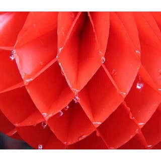Đèn lồng xếp đỏ chữ Phúc 35/30/25/20 cm treo trang trí Tết - đèn lồng đỏ nilong
