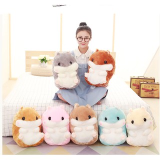 Chuột bông Hamster