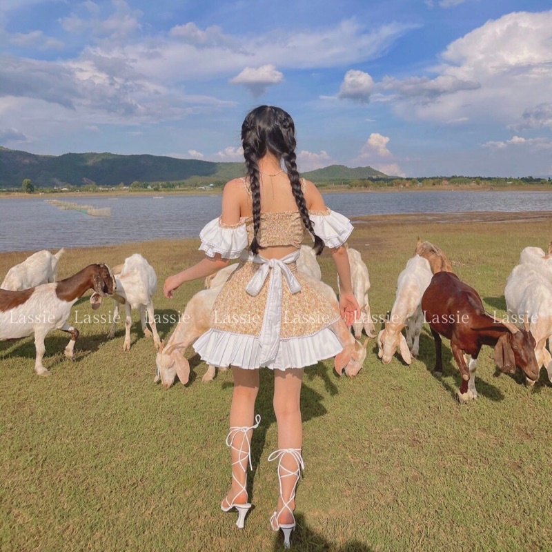 Lassie - set áo váy Callie