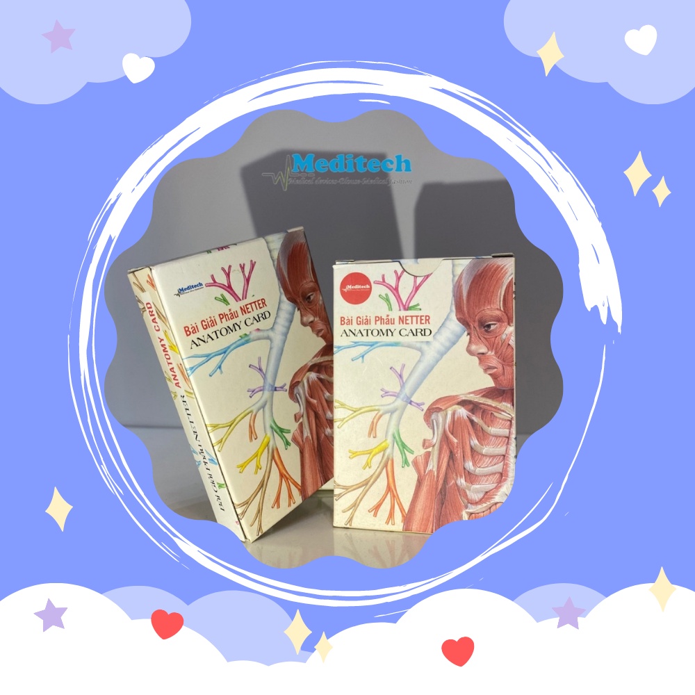 Bộ bài Giải Phẫu Netter-Netter Anatomy Card  Hottrend 2023