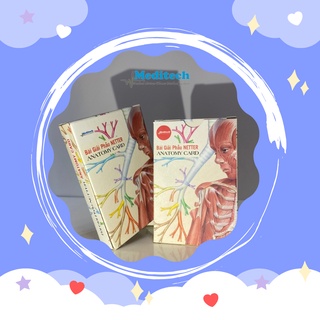 Bộ bài Giải Phẫu Netter-Netter Anatomy Card Hottrend 2023