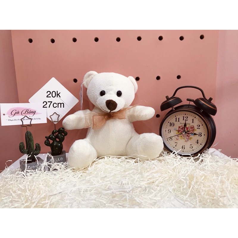Gấu si Teddy Úc Mỹ. Được sử lí sạch sẽ