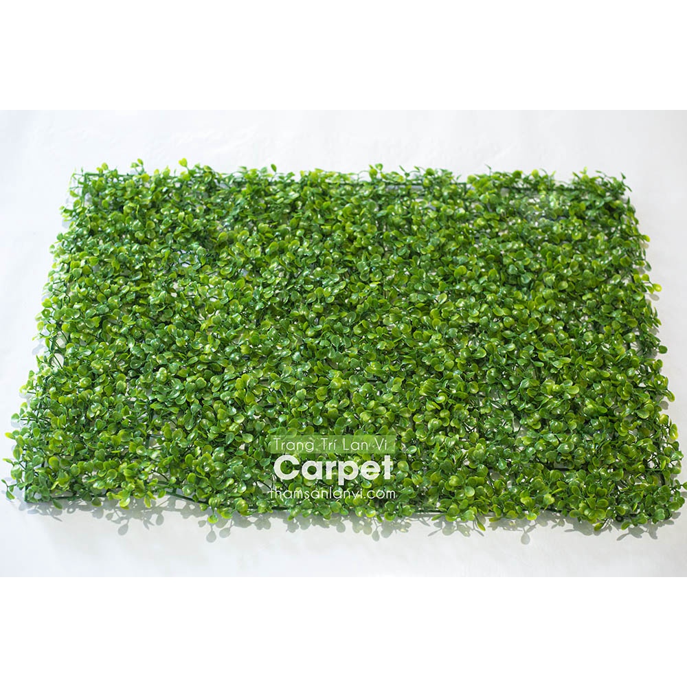 Cỏ nhân tạo treo tường, tấm cỏ nhựa cải xoang trang trí không gian nhà cửa kích thước 40cm x 60cm