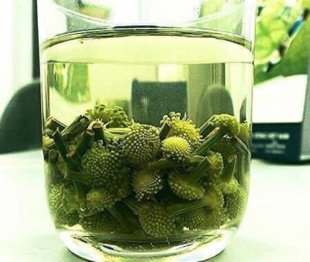 Nụ hoa tam thất Hà Giang 1kg nụ tam thất khô, thơm hàng chuẩn Dược Liệu Quý