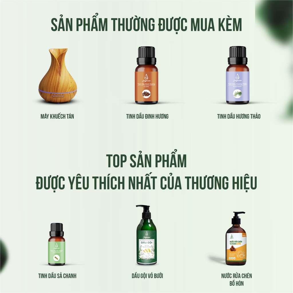 Tinh dầu Húng Quế 10ml Julyhouse