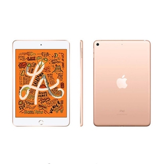 Apple iPad mini 5 Wifi 64Gb 7.9Inch