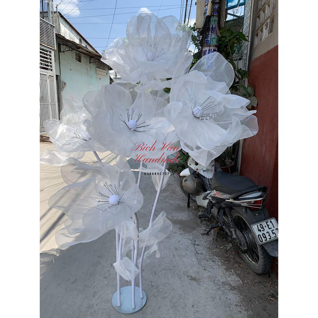 Trụ 5 cây hoa vải Voan trang trí Studio , cửa hàng ...