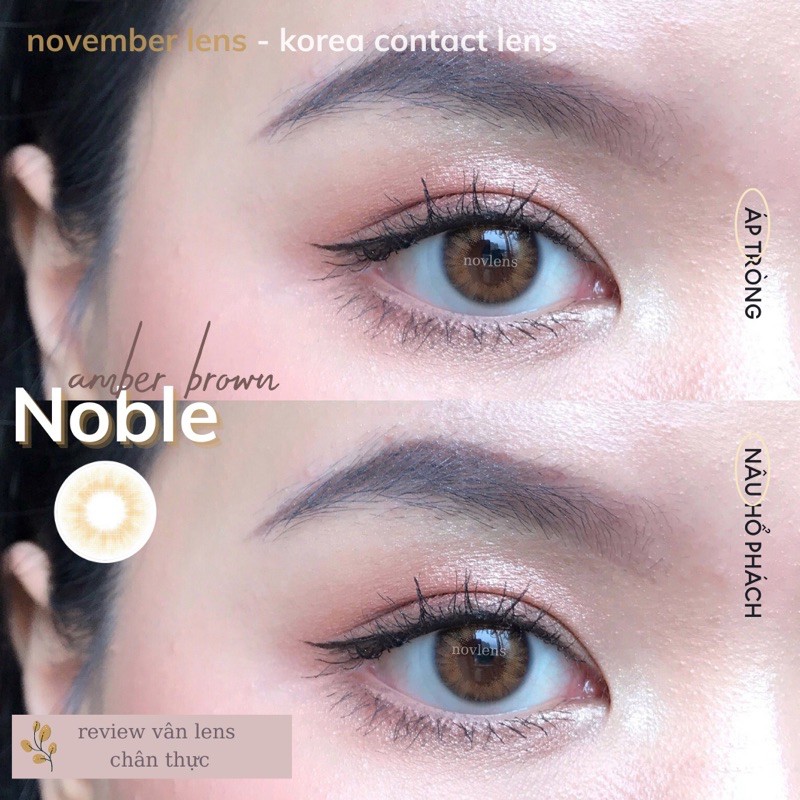 Kính áp tròng Noble Brown Hàn Quốc tone nâu hổ phách áp tròng