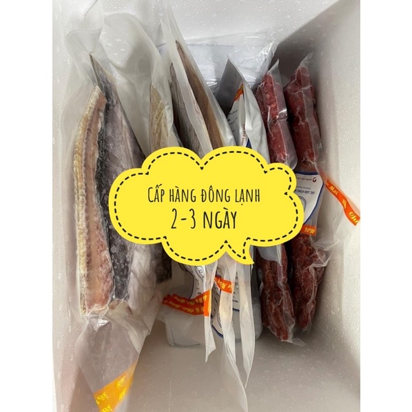 Đá khói, đá khô tạo khói, giữ lạnh thưc phẩm khối lượng 1kg. Có chứng nhận an toàn thực phẩm