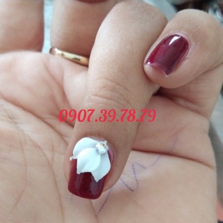 mẫu hoa số 6