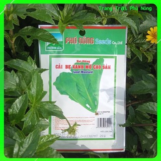 tập làm nông-50 hạt giống cải bẹ xanh mỡ phú nông
