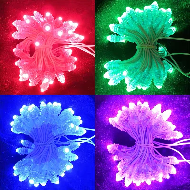 Đèn Led trang trí F5 12V chống nước loại cao cấp, trang trí cuốn cây, biển quảng cáo