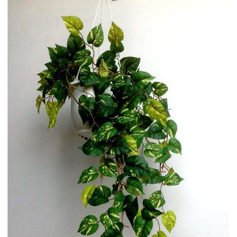 Lá giả, sợi dây leo lá Trầu Bà trang trí dài 2.1m 80 lá