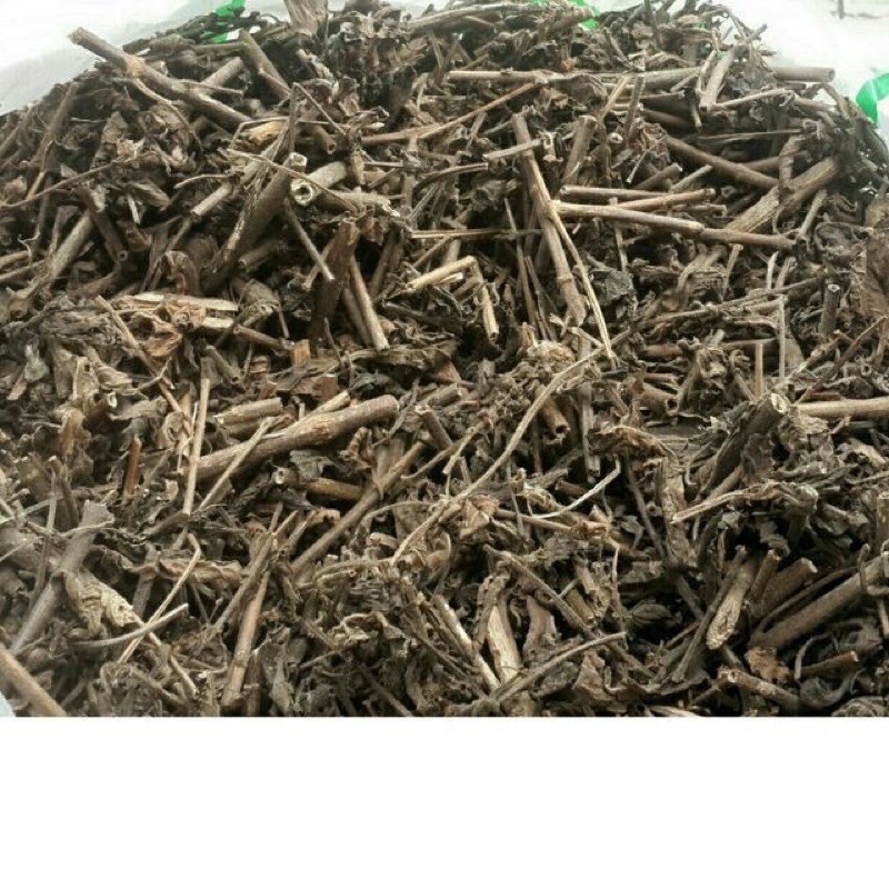 1 kg nhân Trần khô, thanh mát cơ thể