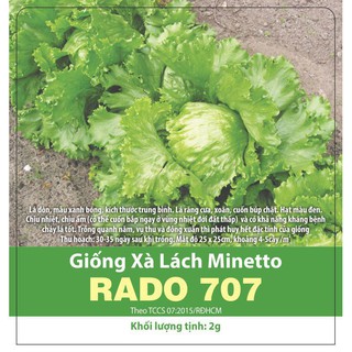 [hàng sẵn]  Hạt Giống Xà Lách Búp Minetto Rado 707 Gói 2g Chịu Nhiệt Năng Suất, Giòn, Ngọt