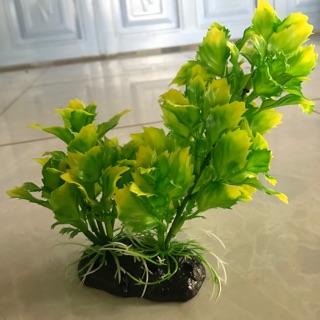 Rong Giả 20cm - Trang Trí Bể Cá
