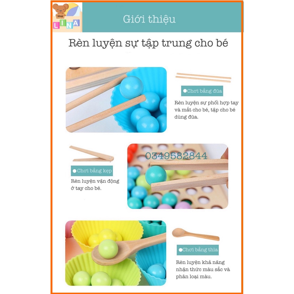 Đồ Chơi Gắp Bi Gỗ Montessori, Bộ Gắp Hạt Kèm Bát Kích Thích Sáng Tạo Cho Bé