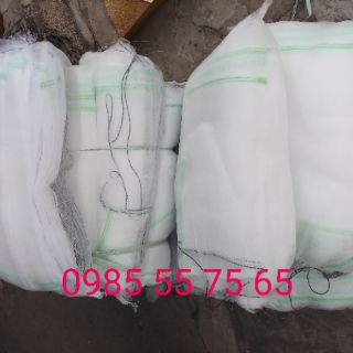 100 túi lưới bao mít có dây rút