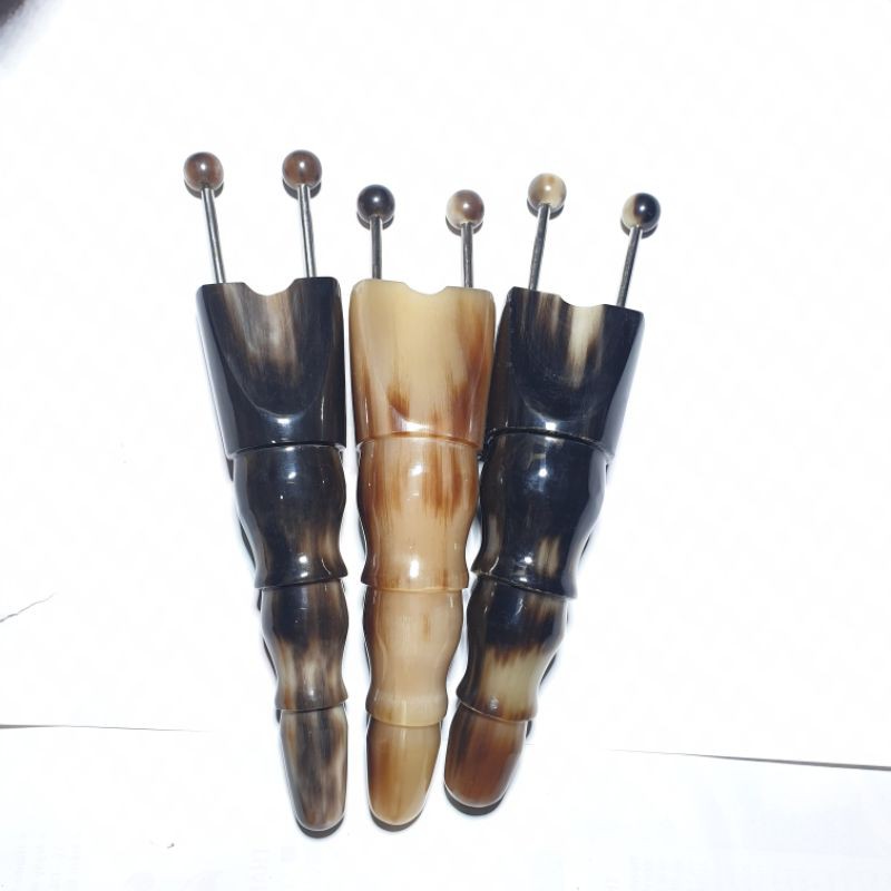 bọ cạp sừng cỡ nhỏ