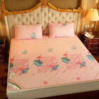 Chiếu điều hoà tencel