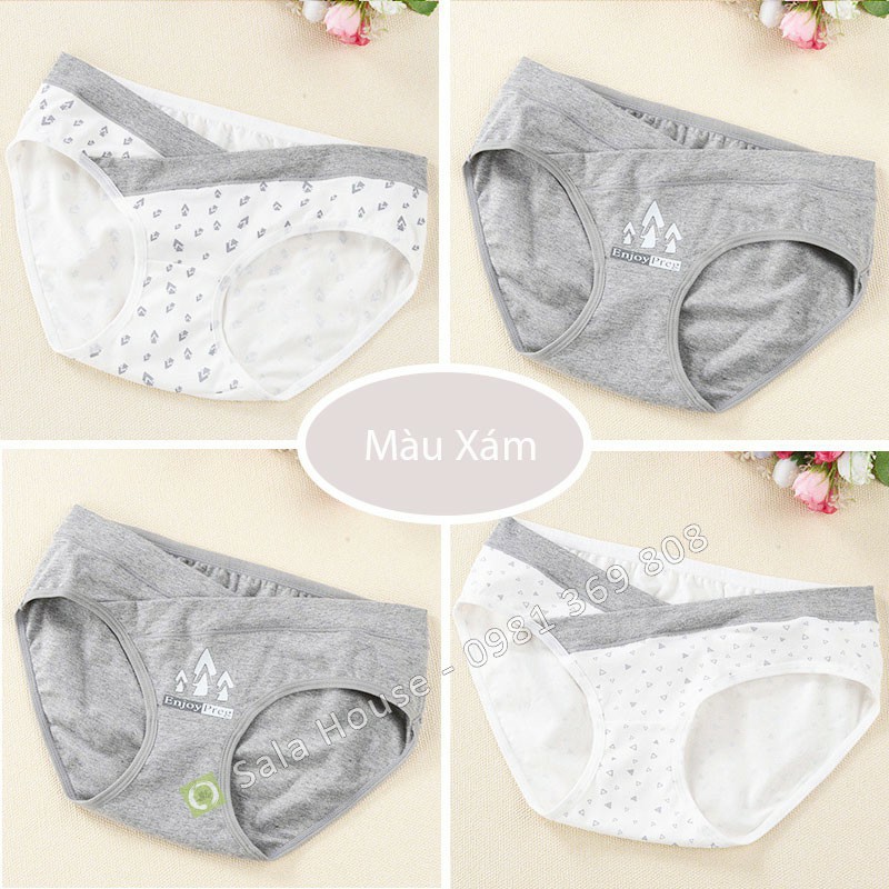 Combo/ set 4 Quần Lót Bầu Cotton cao cấp