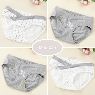 Combo/ set 4 Quần Lót Bầu Cotton cao cấp (H)