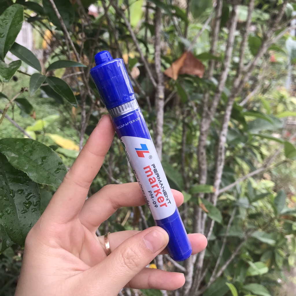 Hộp 10 Bút lông dầu Thiên Long PM-09 (xanh đỏ đen)