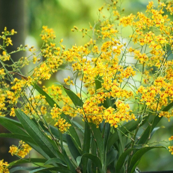 quatangsuutam.vn1, Cửa hàng trực tuyến | BigBuy360 - bigbuy360.vn