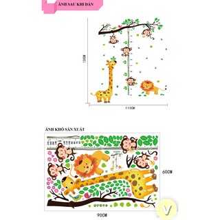 Decal dán tường Thước đo chiều cao khỉ con