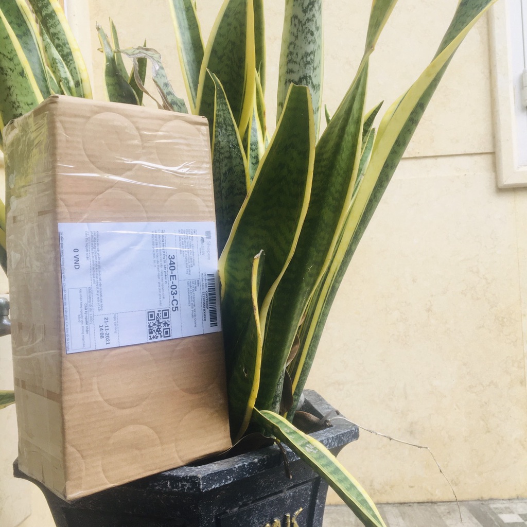 Cafe Robusta Arabica cao cấp - rang xay nguyên chất, hương vị đậm đà, hậu sâu thanh ngọt - pha phin pha máy ( 500gr) | BigBuy360 - bigbuy360.vn