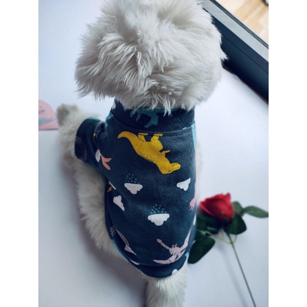 Áo thun cotton hoạ tiết hình thế giới khủng long dành cho thú cưng, Quần áo chó mèo LaLi Petfashion