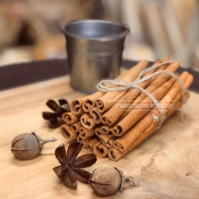 Set quế trang trí