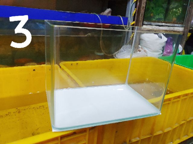 HỒ CÁ ĐÚC BO CONG 2 CẠNH 26x27x19cm