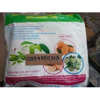 100 túi bao ổi ánh dương