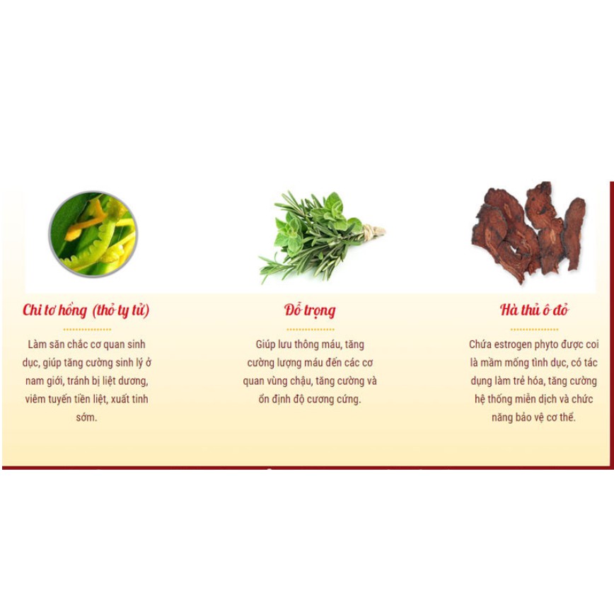 Viên uống Eroforce hỗ trợ tăng cường sinh lý nam hộp 10 viên – DPMP688