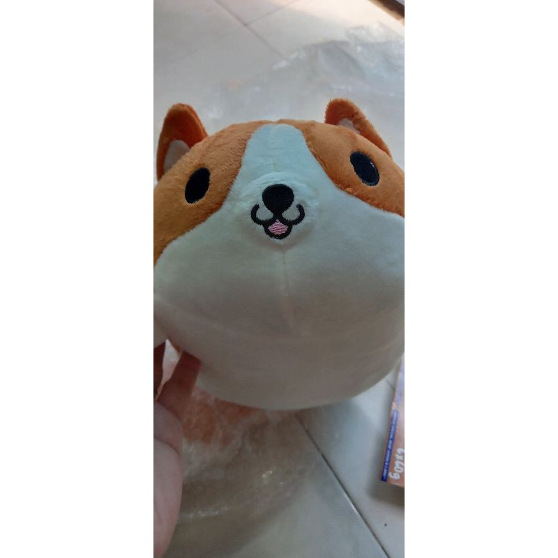 thú bông corgi siêu cute