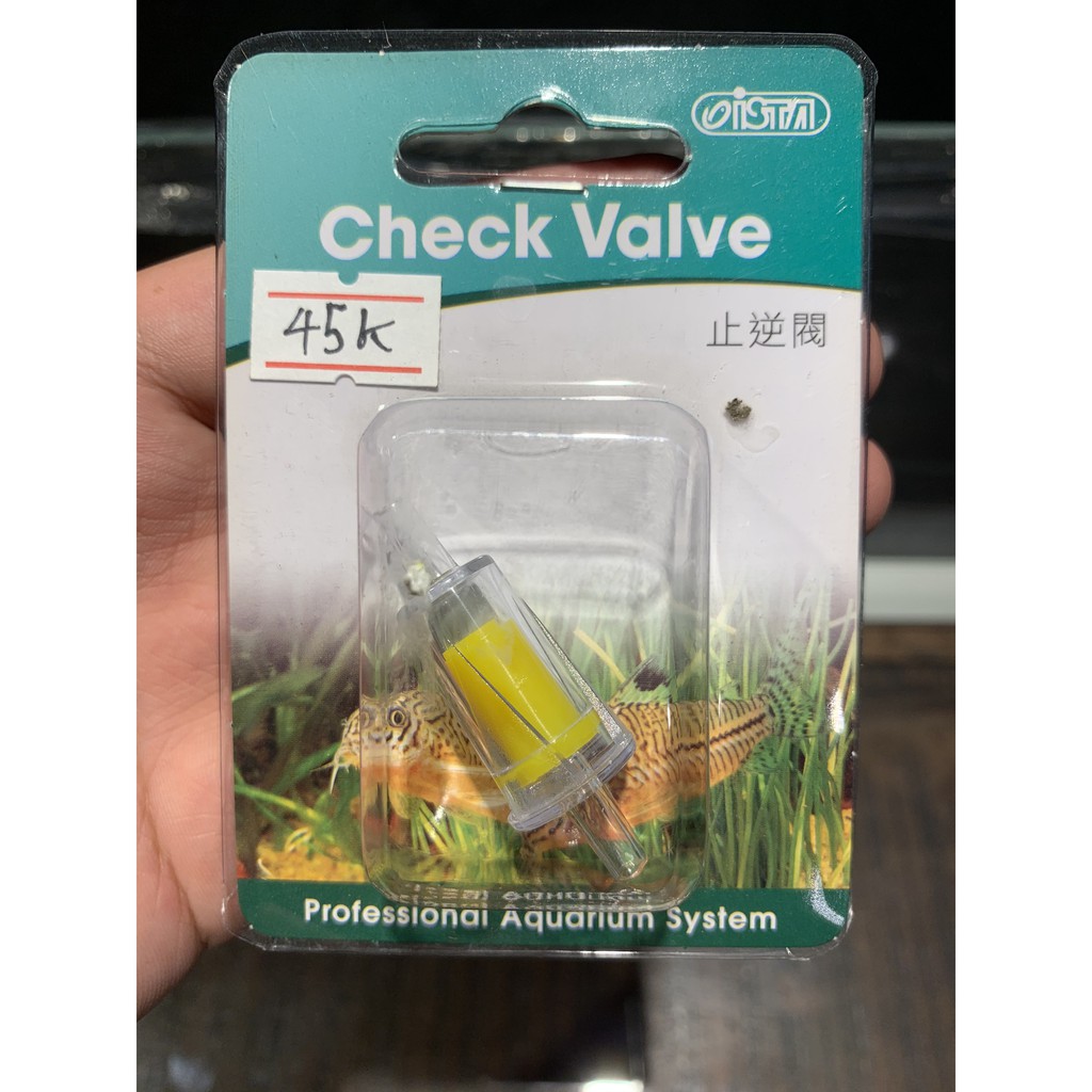 Van 1 chiều ISTA - ISTA Check valve