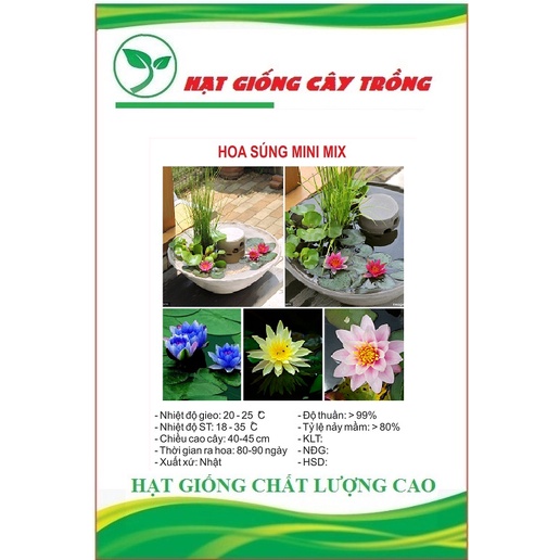 Hạt Giống Hoa Súng Mini Nhiều Màu CT511 - Gói 5 hạt