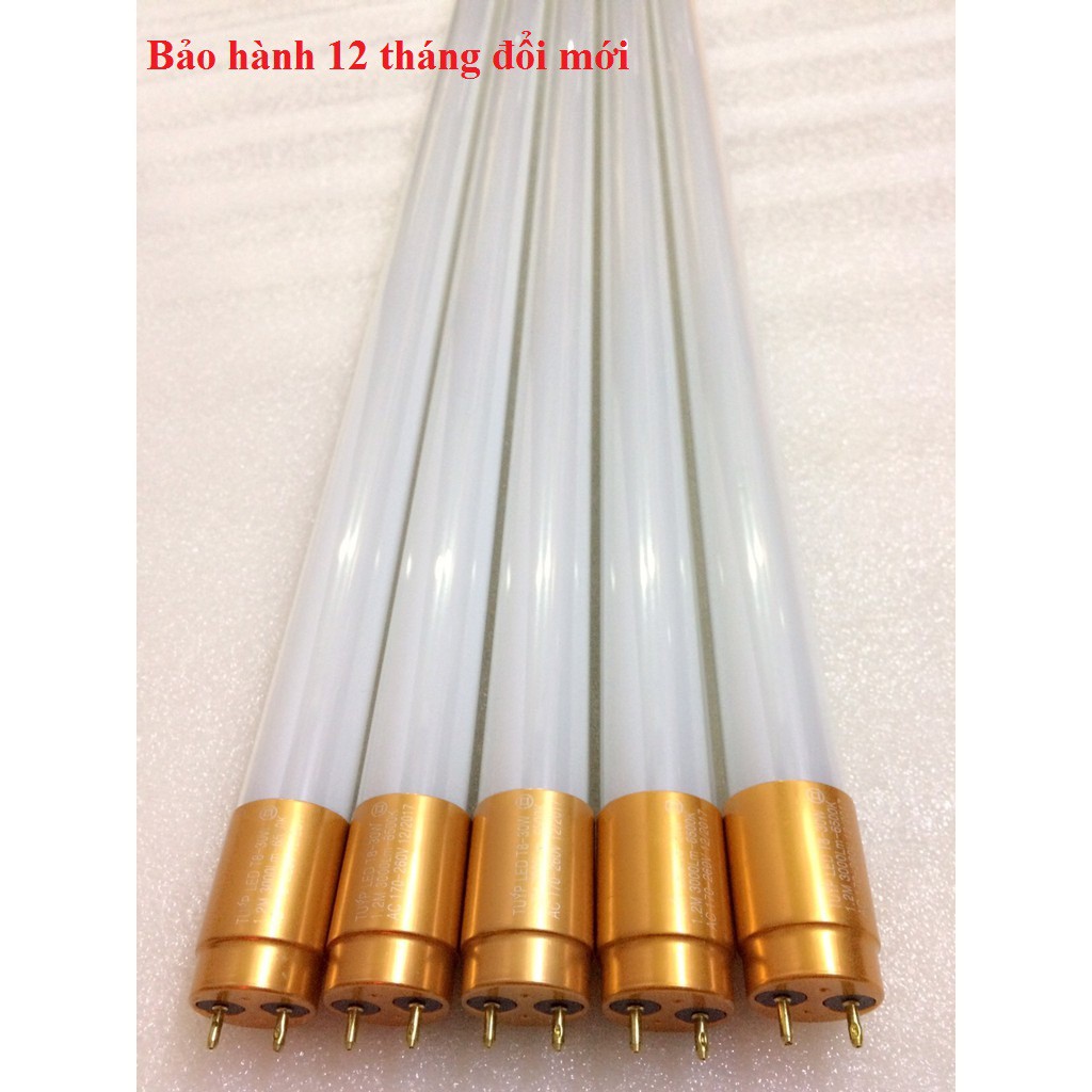 Combo 5 bóng đèn led T8 1m2 30w (đầu nhôm vàng)