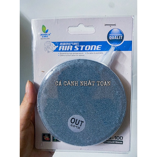 SỦI DĨA OXY BỂ CÁ CẢNH 10CM 12CM