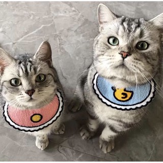YẾM Chó mèo cute😻😻😍
