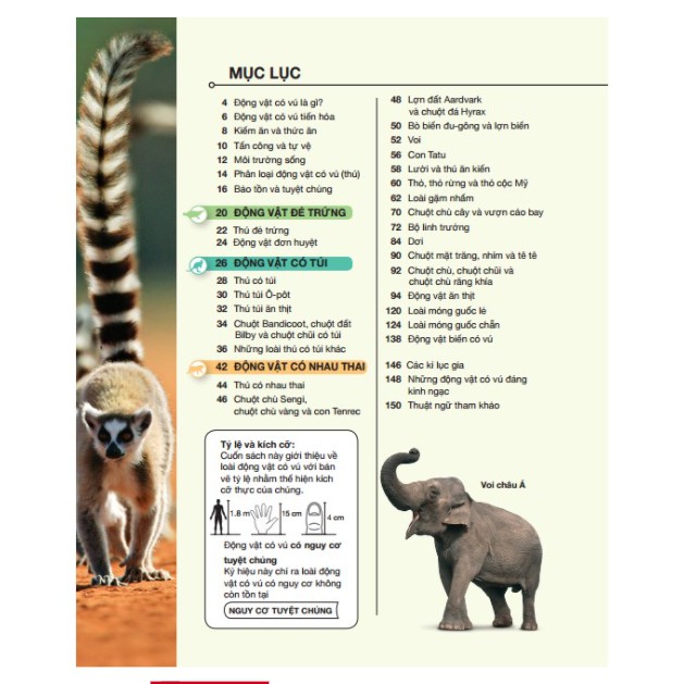 Sách - Bách khoa thiếu nhi động vật có vú (bìa cứng)