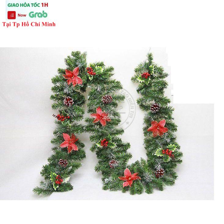 Dây Lá Thông 3 Loại Lá Trang Trí Khung Cửa , Tường Nhà Mùa Giáng Sinh 2m1 Có Hoa Đỏ Trái Cherry Đỏ Trái Thông G10-3LLDC