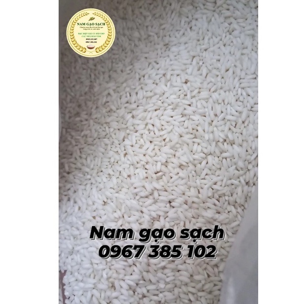 1KG Gạo Nếp Ngỗng Dẻo Thơm Ngon Đặc Sản Vùng Nam Bộ - Nam Gạo Sạch