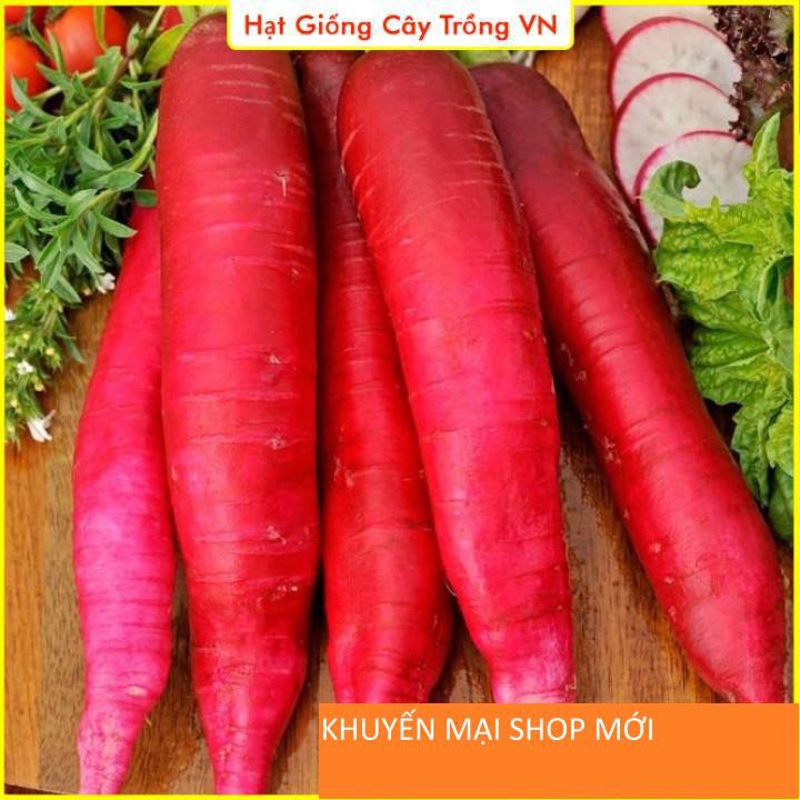 Hạt giống Củ Cải Đỏ Dài Giòn, Ngọt, Dễ Trồng khuyến mại shop mới