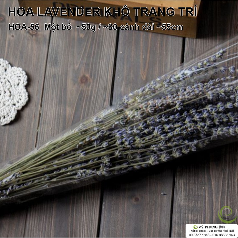 HOA LAVENDER KHÔ TRANG TRÍ HOA-56